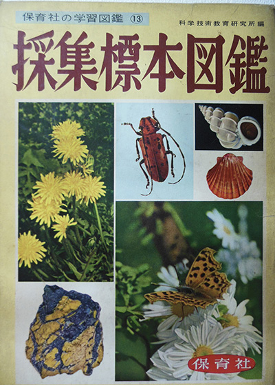 児童書・絵本(特に昔のもの)